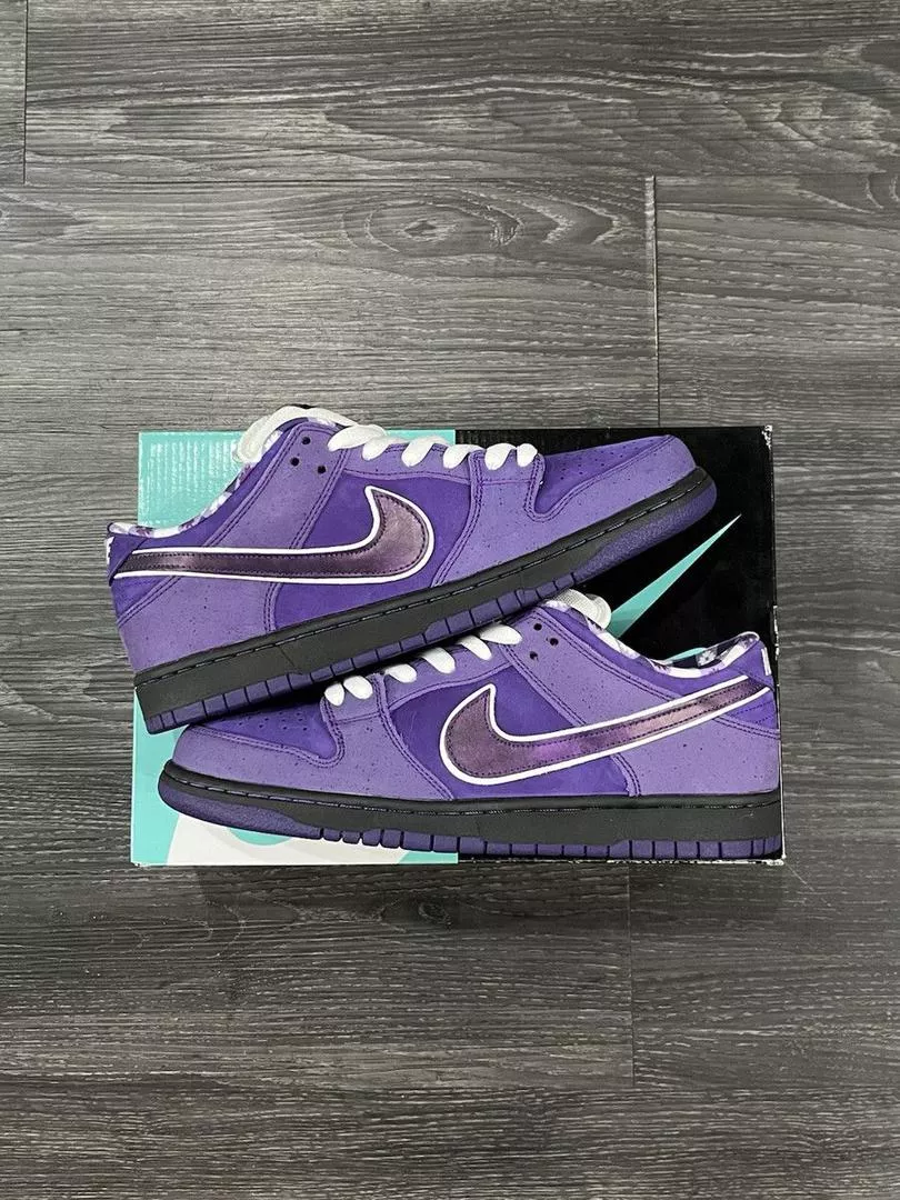 Concepts x Nike SB Dunk Low Pro